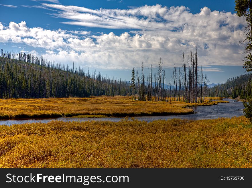 The Lewis River at Yellowstone National Park with fall foliage under a blue sky with white clouds. The Lewis River at Yellowstone National Park with fall foliage under a blue sky with white clouds.