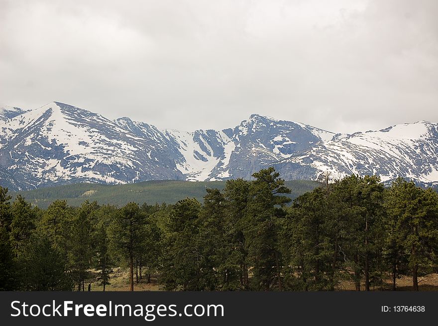 Mountain Forest with snow capping the tops