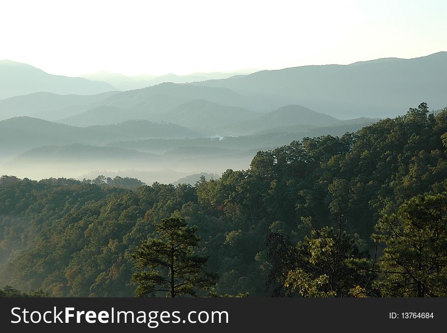 Mountain treetops with morning fog