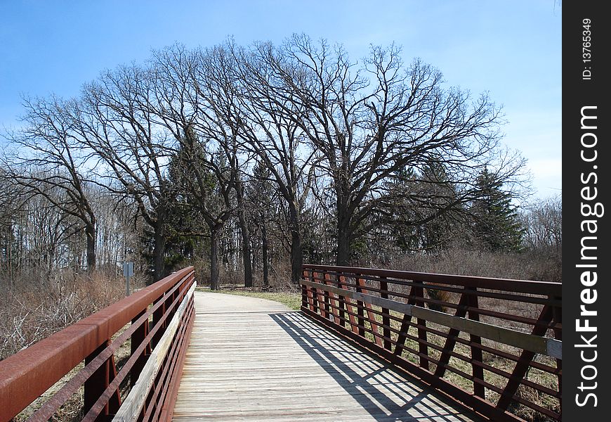 Walk way in the forest preserve