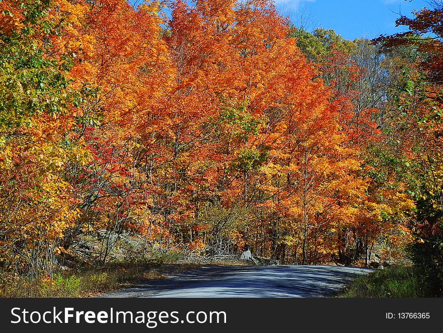 Ontario, Canada, fall, Bon echo national park