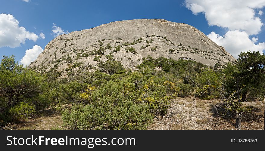 Crimea mountains with pine trees and juniper under blue sky. Crimea mountains with pine trees and juniper under blue sky