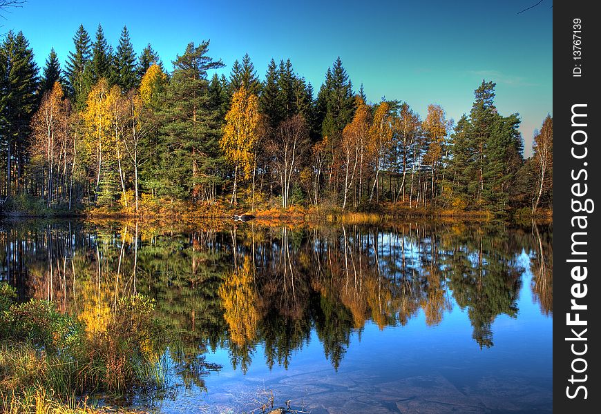 The Autumn Lake