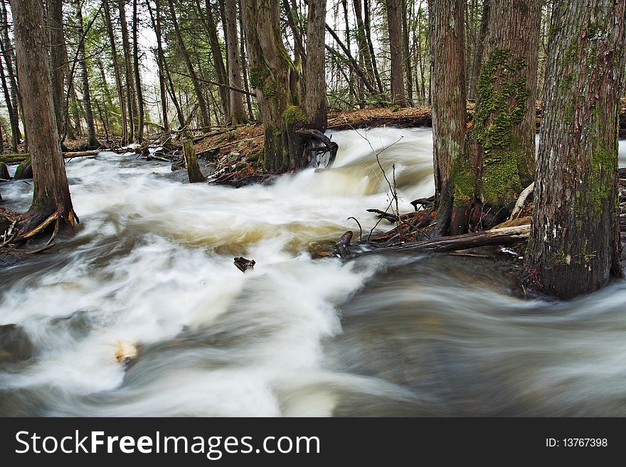 Beautiful cascade in the forest from Cap Tourmente Reserve Quebec Canada. Flowing water with stone. Beautiful cascade in the forest from Cap Tourmente Reserve Quebec Canada. Flowing water with stone.