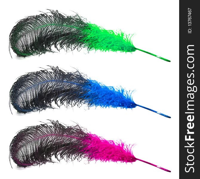 Set of bright  ostrich's feathers on a white background