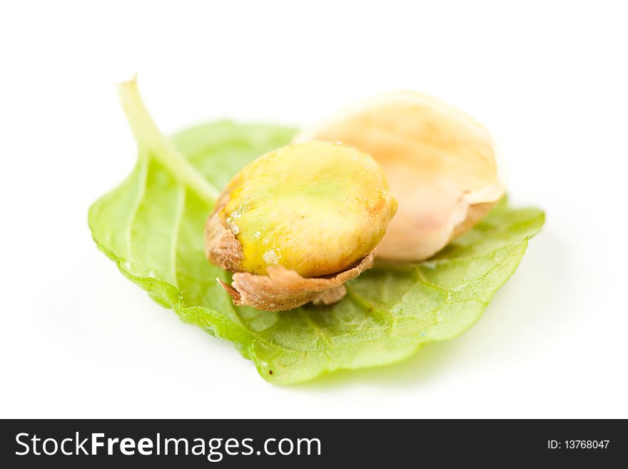 Isolated on a white ground pistachio, nuts. Isolated on a white ground pistachio, nuts