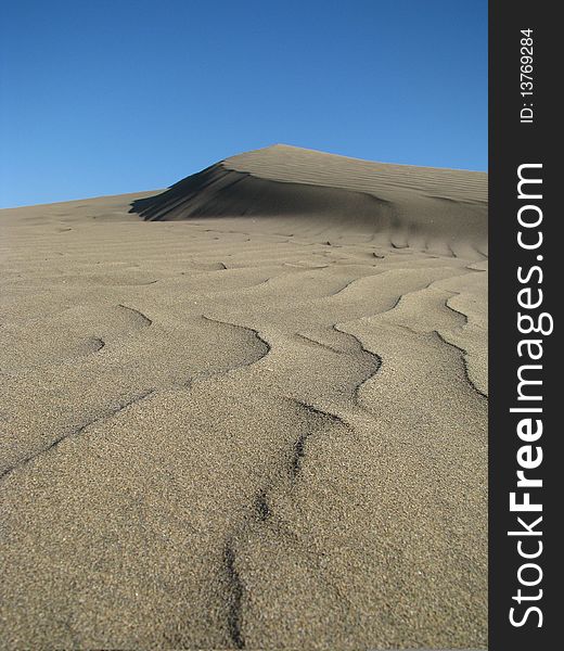 Dry Dune