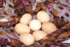 Chicken Eggs In The Nest Royalty Free Stock Photo