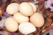 Chicken Eggs Royalty Free Stock Images