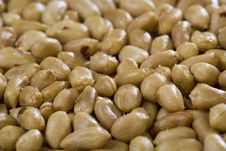 Peanuts Background Royalty Free Stock Photography Peanuts Background Royalty Free Stock Photography