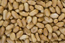 Peanuts Background Royalty Free Stock Image Peanuts Background Royalty Free Stock Image