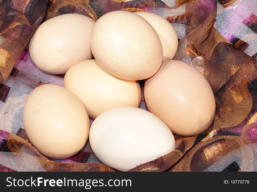 Chicken Eggs