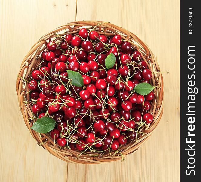 Freshly picked red cherries in a basket. Freshly picked red cherries in a basket