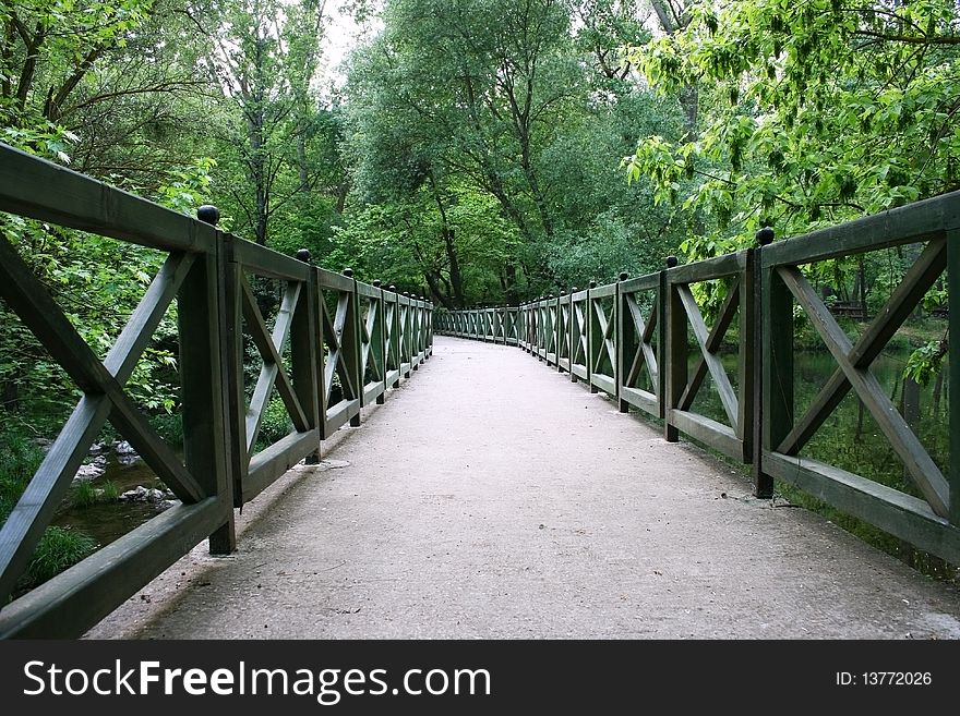 A green,wooden bridge is in a forest on creek.And a way  into forest. A green,wooden bridge is in a forest on creek.And a way  into forest...