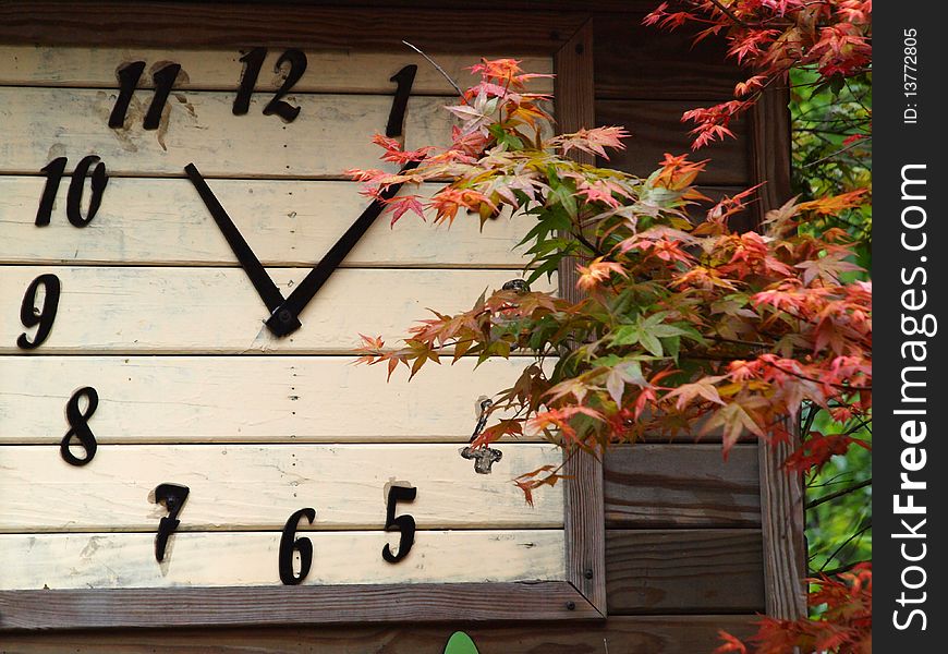 Clock And Leaves