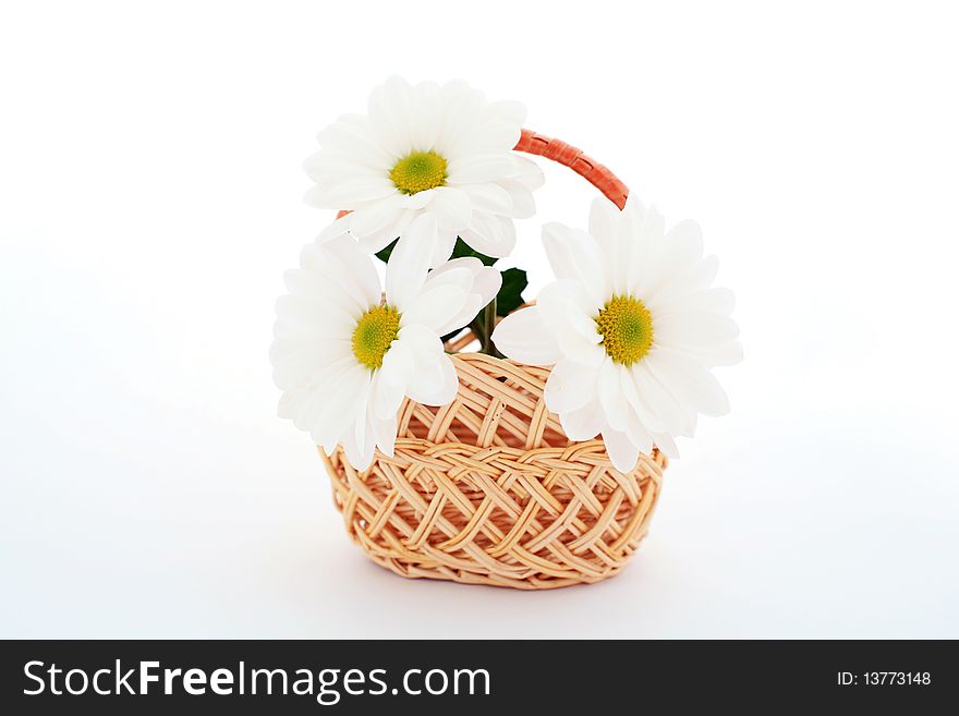 An image of three flowers in a basket