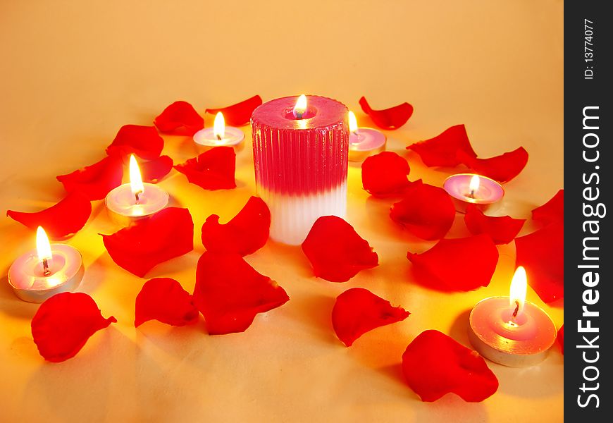 Spa lit candles among damask rose petals. Spa lit candles among damask rose petals