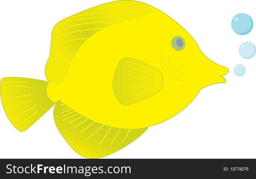 This is a illustration of a yellow tang fish swimming happily in the warm water.