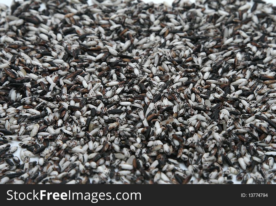 Close up some black rice