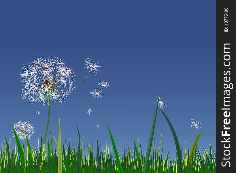 White dandelions on a blue sky background