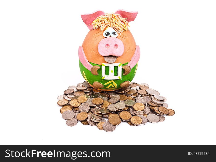 Piggy Bank And Money