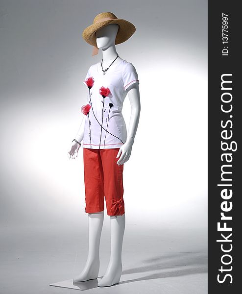 Fashion clothes on a mannequin. Fashion clothes on a mannequin