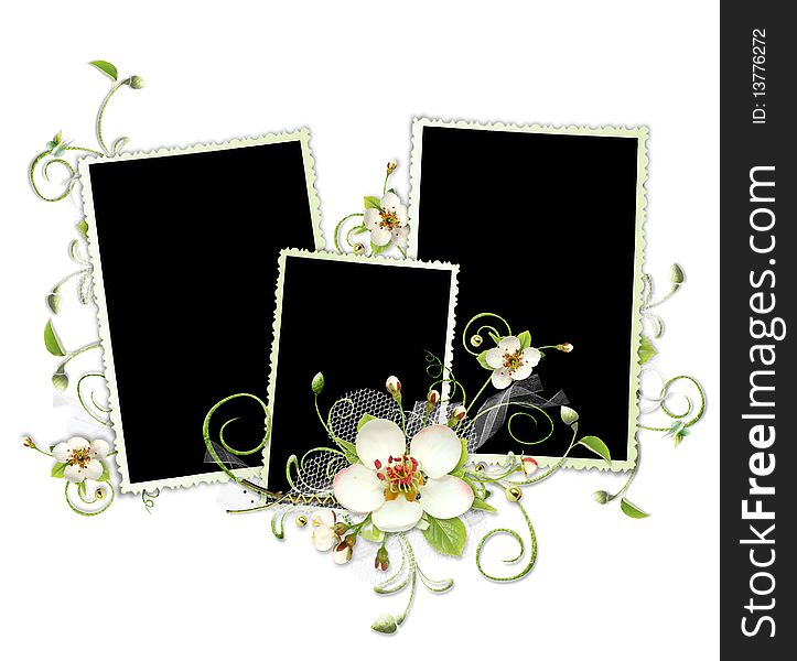 Beautiful spring frame with apple tree flowers