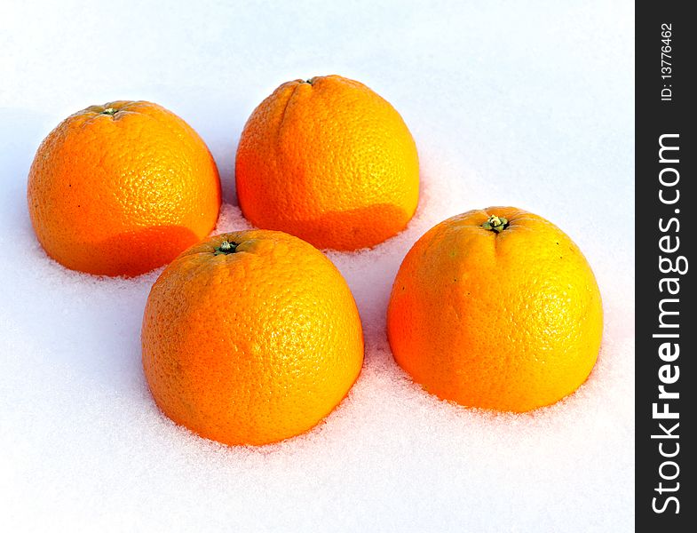 Oranges On Snow.