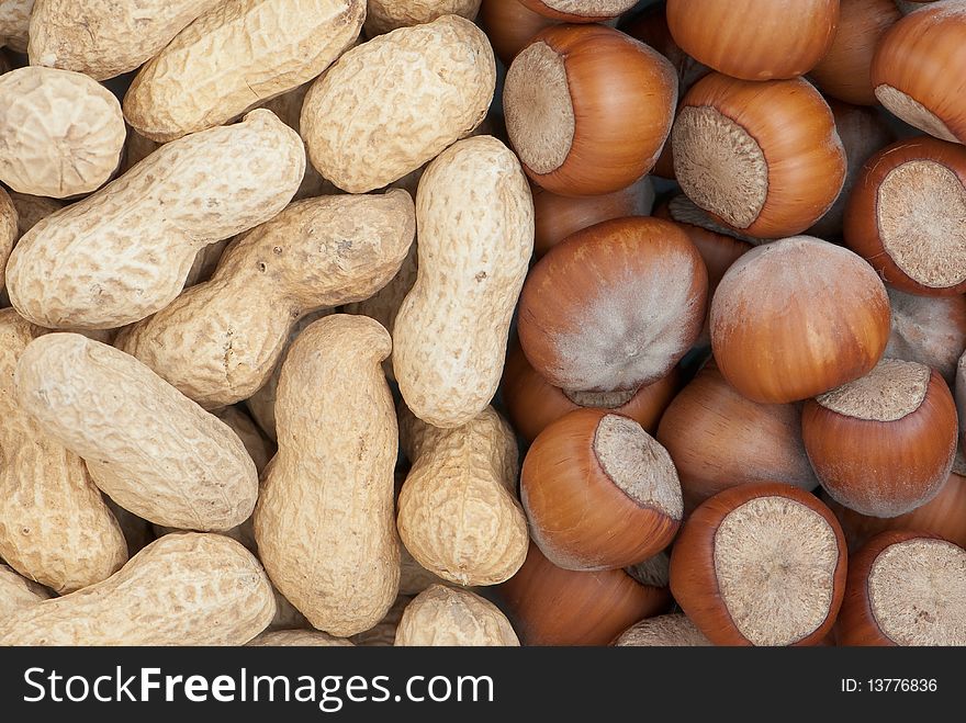 Composition from nuts on the white isolated background