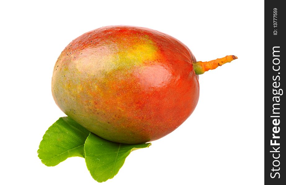 Fresh mango