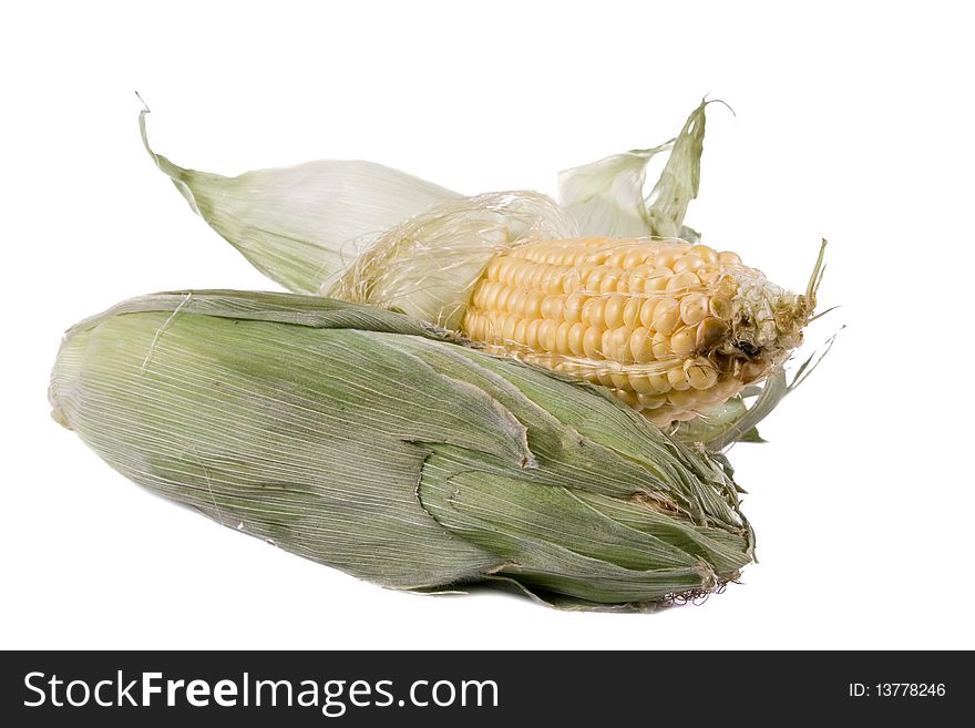 Fresh corns with a lot of vitamins for healthy diet.