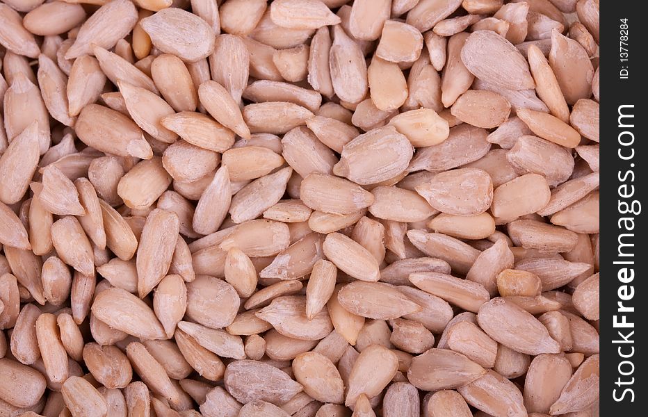 Close up of sunflower seeds