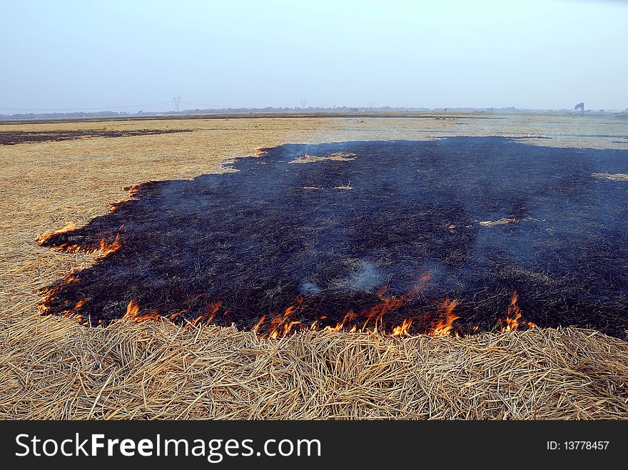 Fire In The Field.