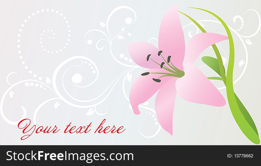 Vector card with pink lily