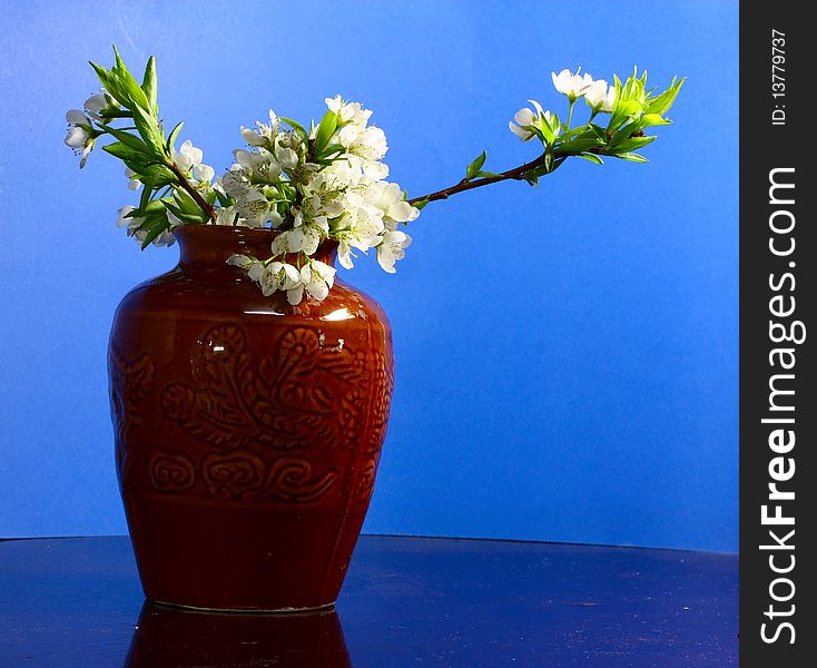 Pear flowers in brown vase.