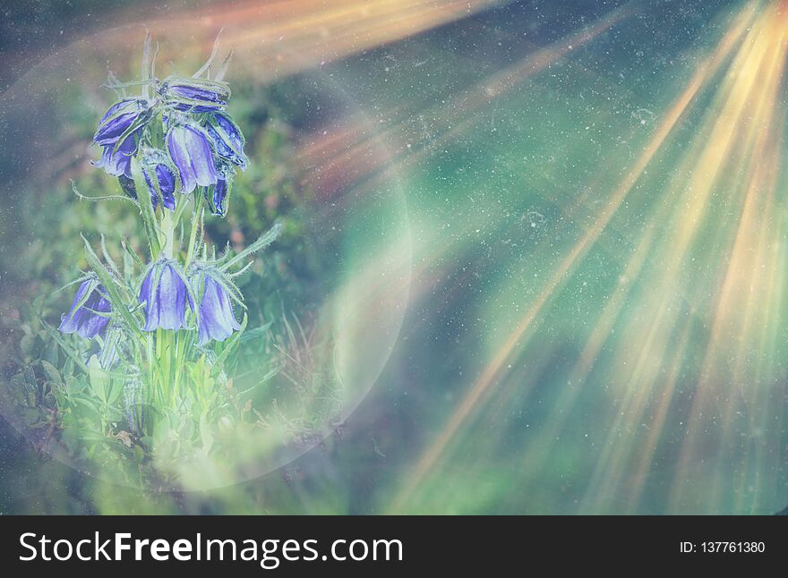 Abstract and magical image of glitter Firefly flying in the night forest. Fairy tale concept. Space for text