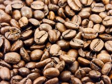 Coffee Beans Royalty Free Stock Images Coffee Beans Royalty Free Stock Images