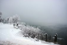 Snowy Misty Day Near A Lake Royalty Free Stock Image Snowy Misty Day Near A Lake Royalty Free Stock Image