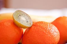 Kiwi Royalty Free Stock Photo Kiwi Royalty Free Stock Photo