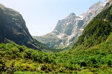 Milford Track, New Zealand Royalty Free Stock Photography