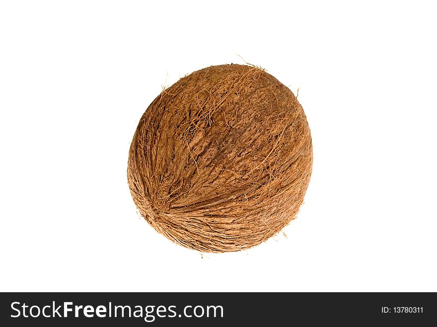 Coconut