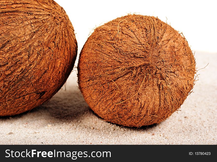 Coconuts on the sand background