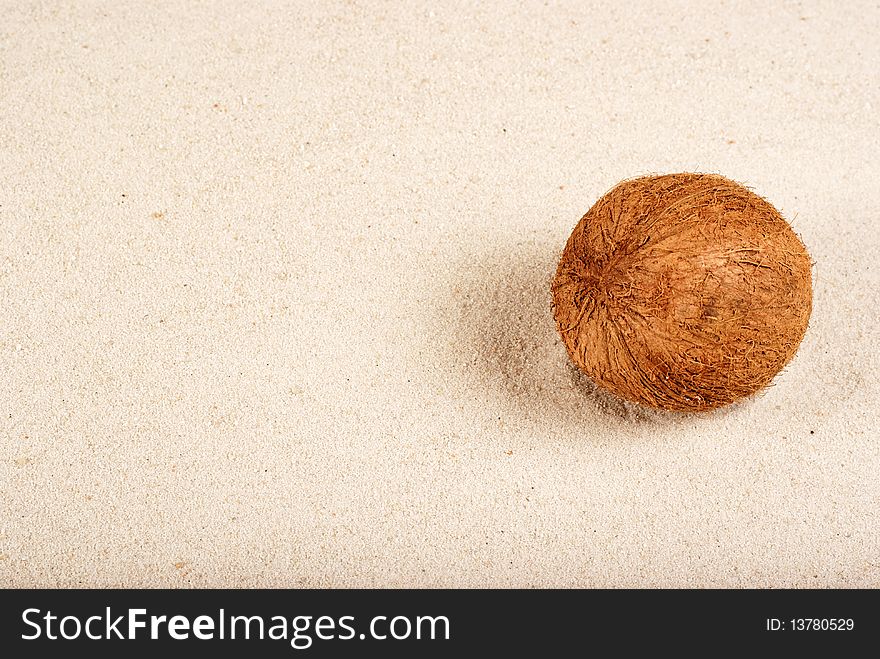 Coconut on the sand background