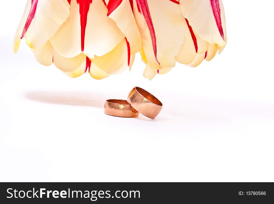 Red tulips with wedding rings isolated on white. Red tulips with wedding rings isolated on white