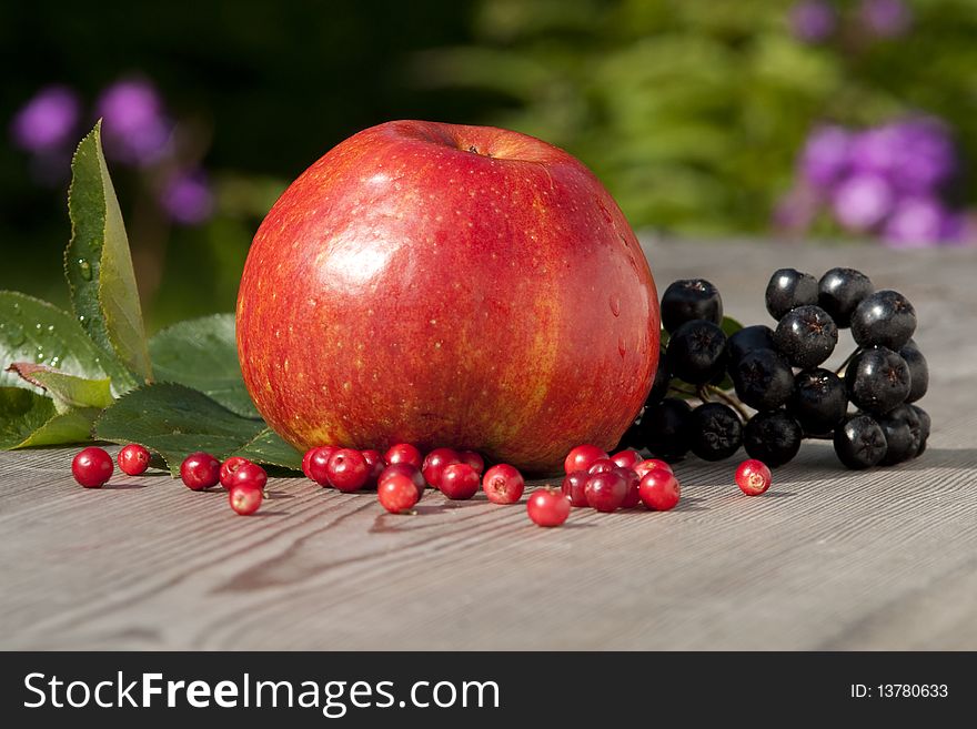 The red apple and aronia melanocarpa. The red apple and aronia melanocarpa