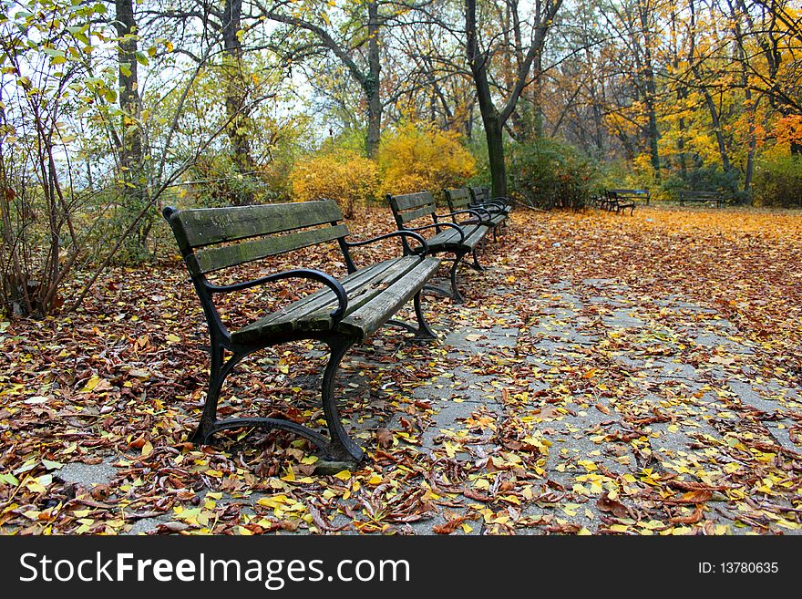Empty benches in a lonely park, in autumn. Empty benches in a lonely park, in autumn.