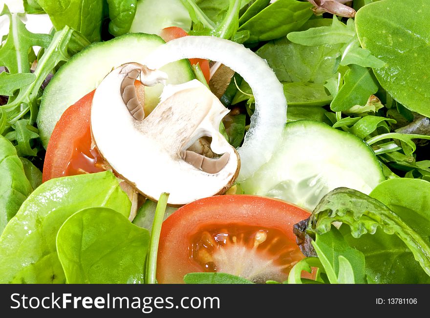 Close-up of a mixed salad with tomato, cucumber and mushrooms. Close-up of a mixed salad with tomato, cucumber and mushrooms