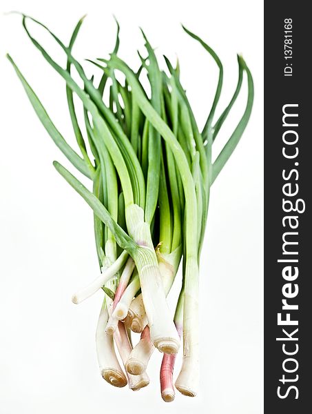 Green onions bunch on a white background