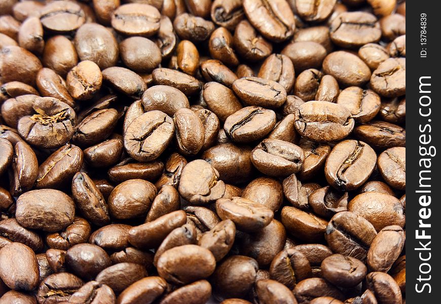 Coffee beans fading into the background.