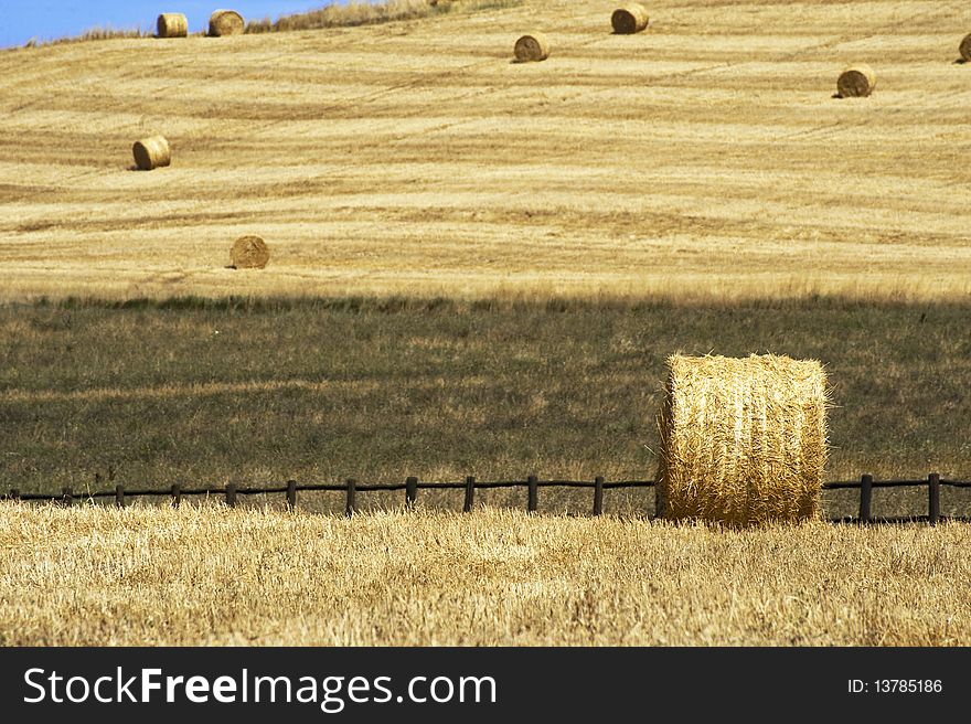 Hay Bales on a yellow field in the tuscany country